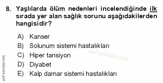 Soru 8