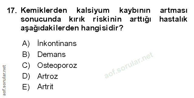Soru 17