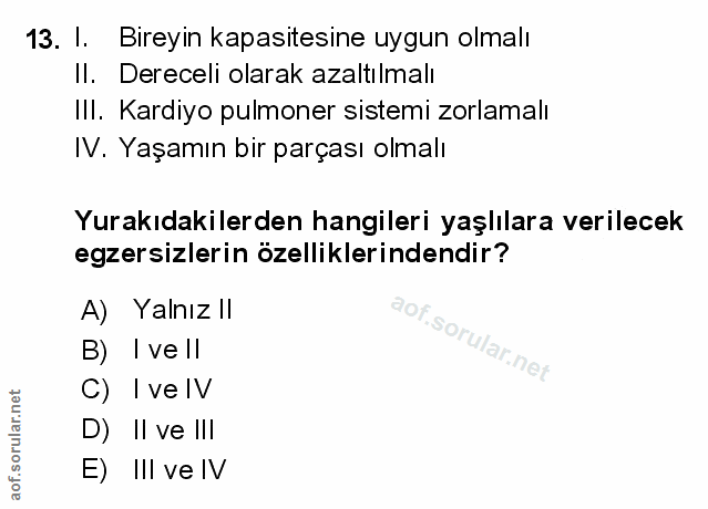 Soru 13