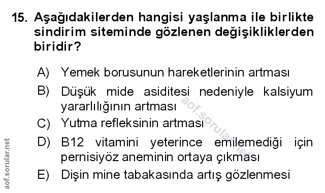 Soru 15