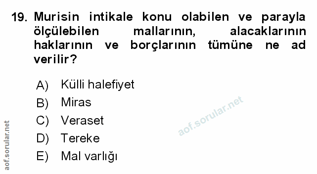 Soru 19