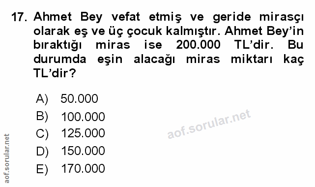 Soru 17