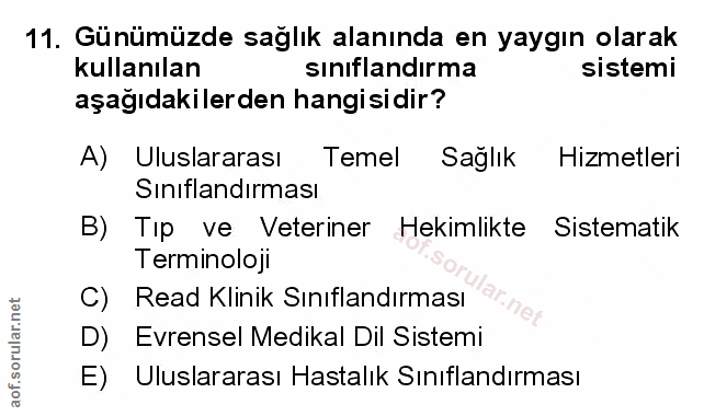 Soru 11