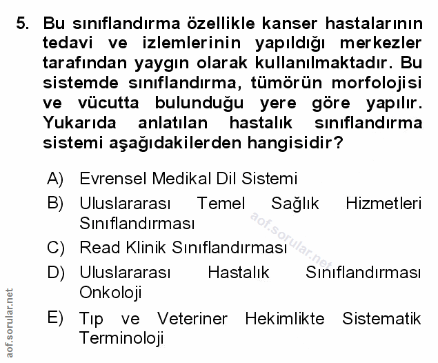 Soru 5
