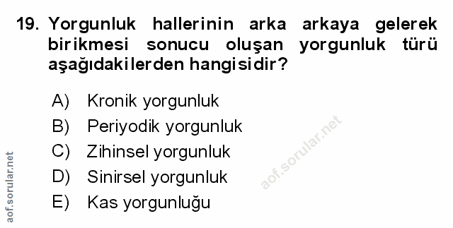 Soru 19