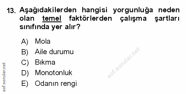 Soru 13