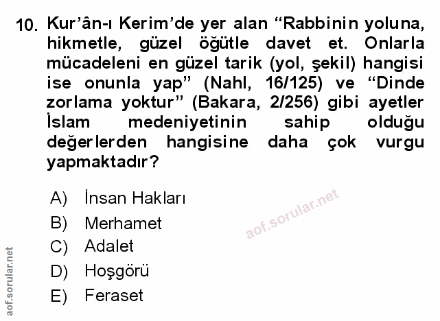 Soru 10
