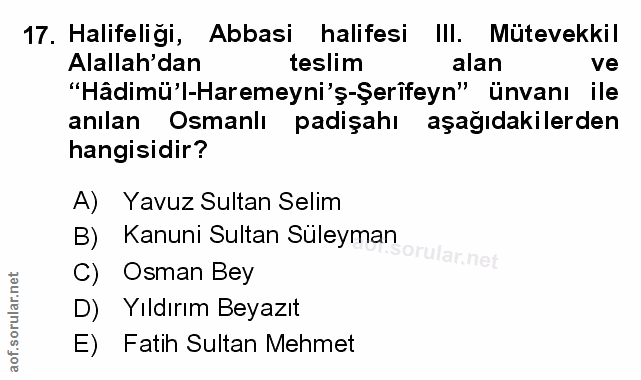 Soru 17
