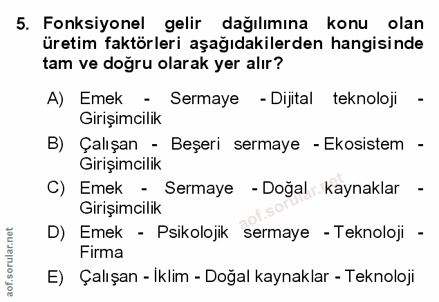 Soru 5