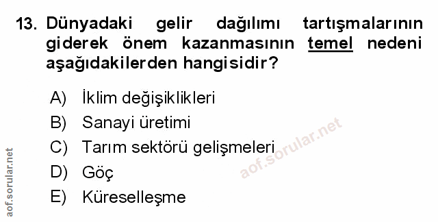 Soru 13