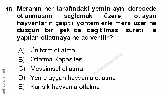 Soru 18