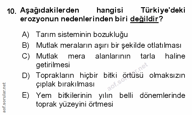 Soru 10