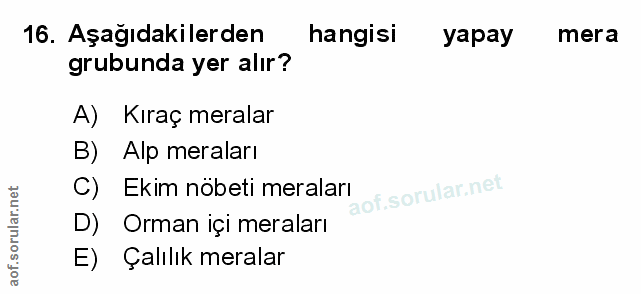 Soru 16
