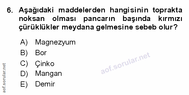 Soru 6
