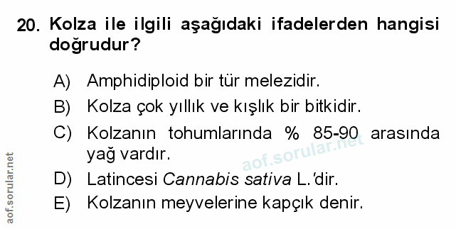 Soru 20