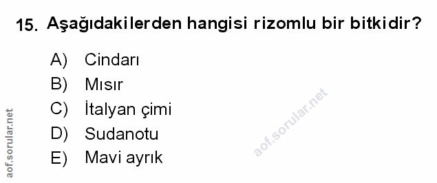 Soru 15