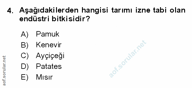 Soru 4