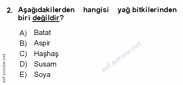 Soru 2