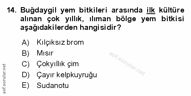Soru 14