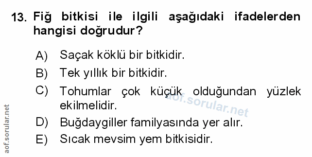 Soru 13
