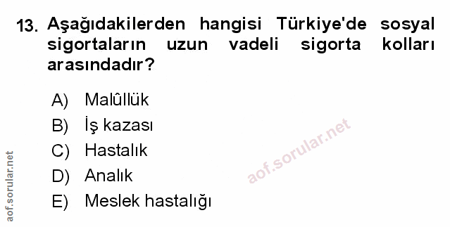Soru 13