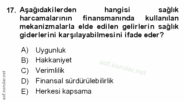 Soru 17