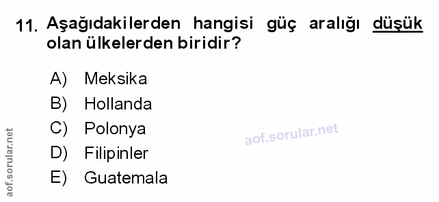 Soru 11