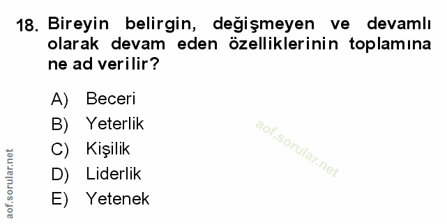 Soru 18