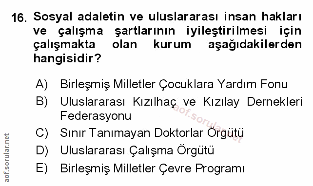Soru 16