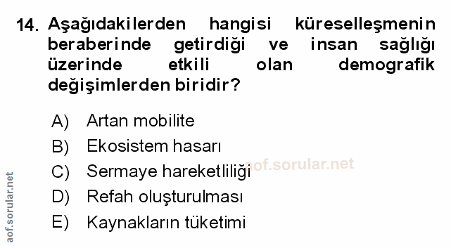 Soru 14