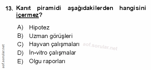 Soru 13