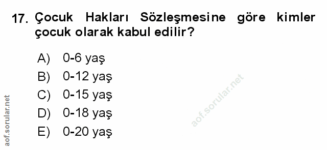 Soru 17