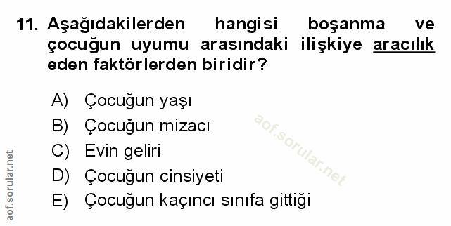Soru 11