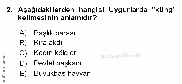 Soru 2