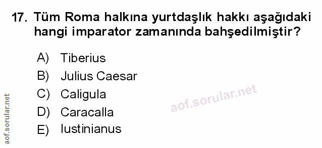 Soru 17