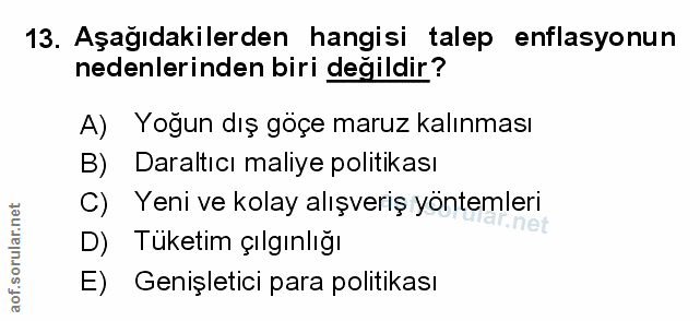 Soru 13