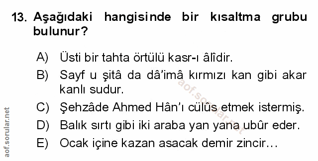Soru 13