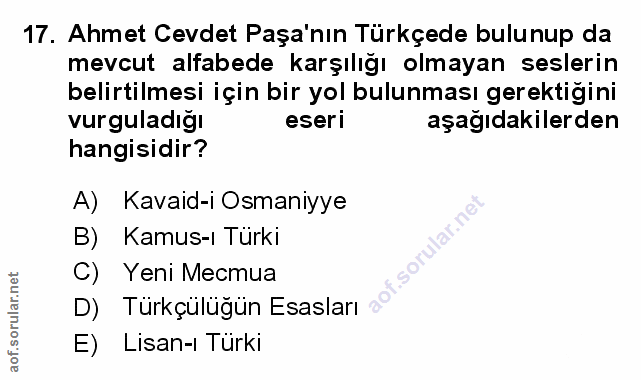 Soru 17