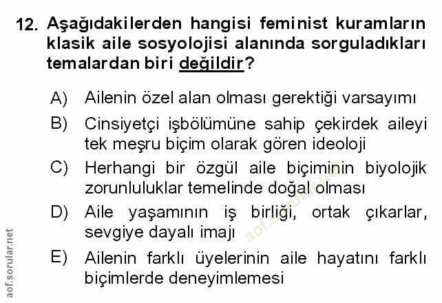 Soru 12