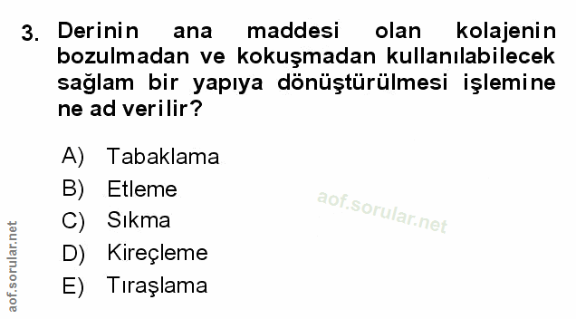 Soru 3
