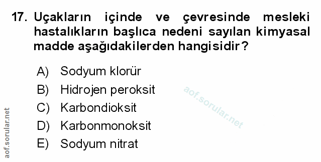 Soru 17