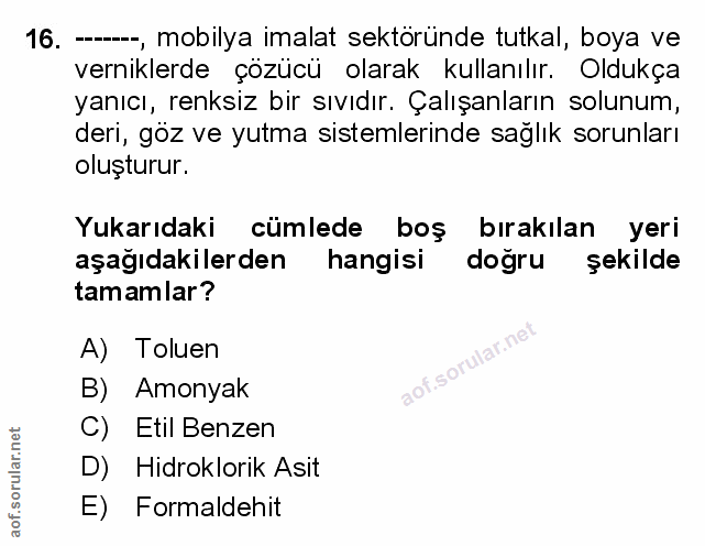 Soru 16