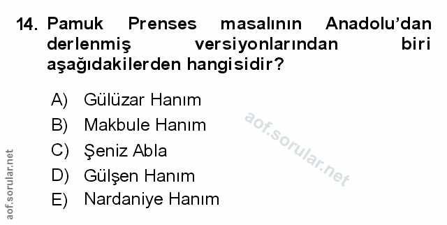 Soru 14