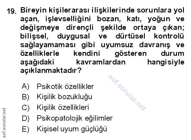 Soru 19