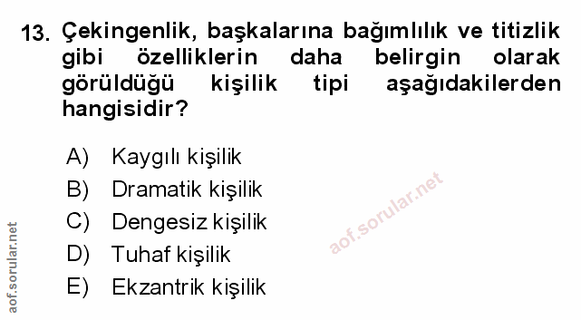 Soru 13