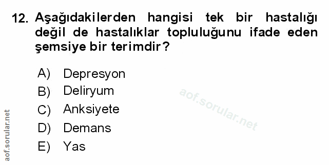 Soru 12