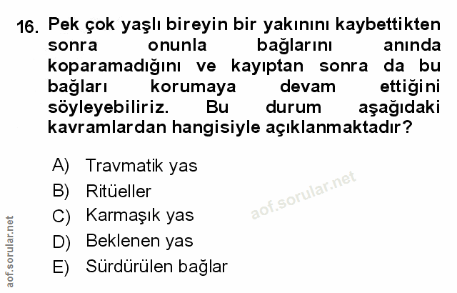 Soru 16