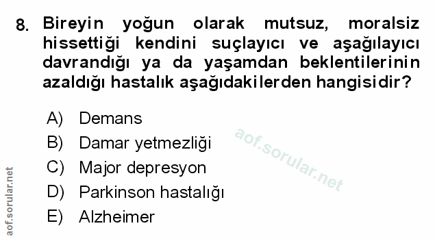 Soru 8