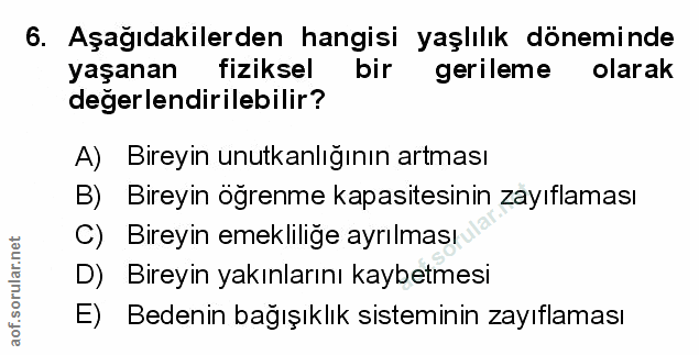 Soru 6