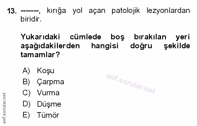 Soru 13